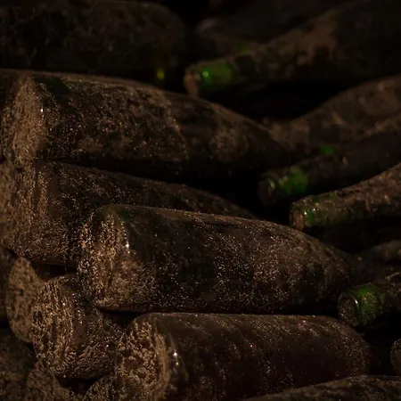 Weingut - Gaestezimmer Resch Ludwig Vlg. Powoden Privat bolig Leutschach