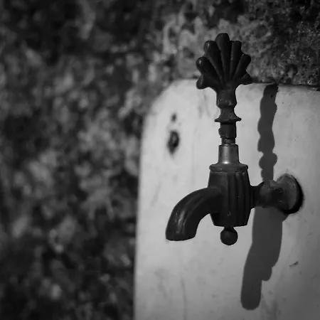 Homestay szállás Weingut - Gaestezimmer Resch Ludwig Vlg. Powoden *