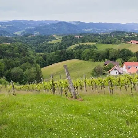 Weingut - Gaestezimmer Resch Ludwig Vlg. Powoden