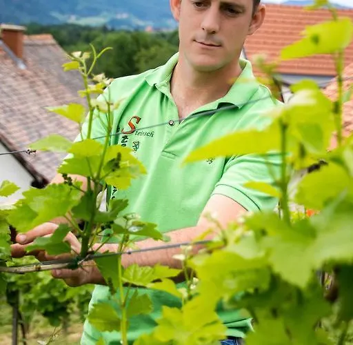 Weingut - Gaestezimmer Resch Ludwig Vlg. Powoden Rum i privatbostad