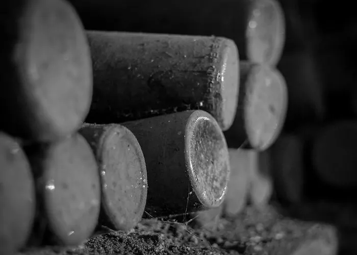 Weingut - Gaestezimmer Resch Ludwig Vlg. Powoden * Leutschach