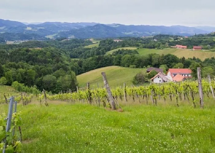 Weingut - Gaestezimmer Resch Ludwig Vlg. Powoden